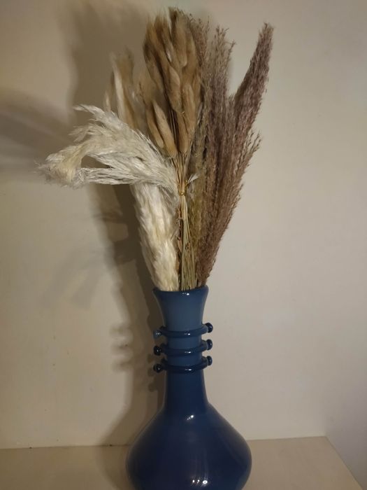 Trawy pampasowe ozdobne (EHB)