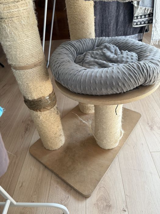 Drapak amaryllis L natural paradise