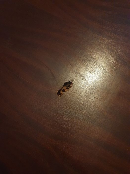 Mesa sala de jantar + 6 cadeiras