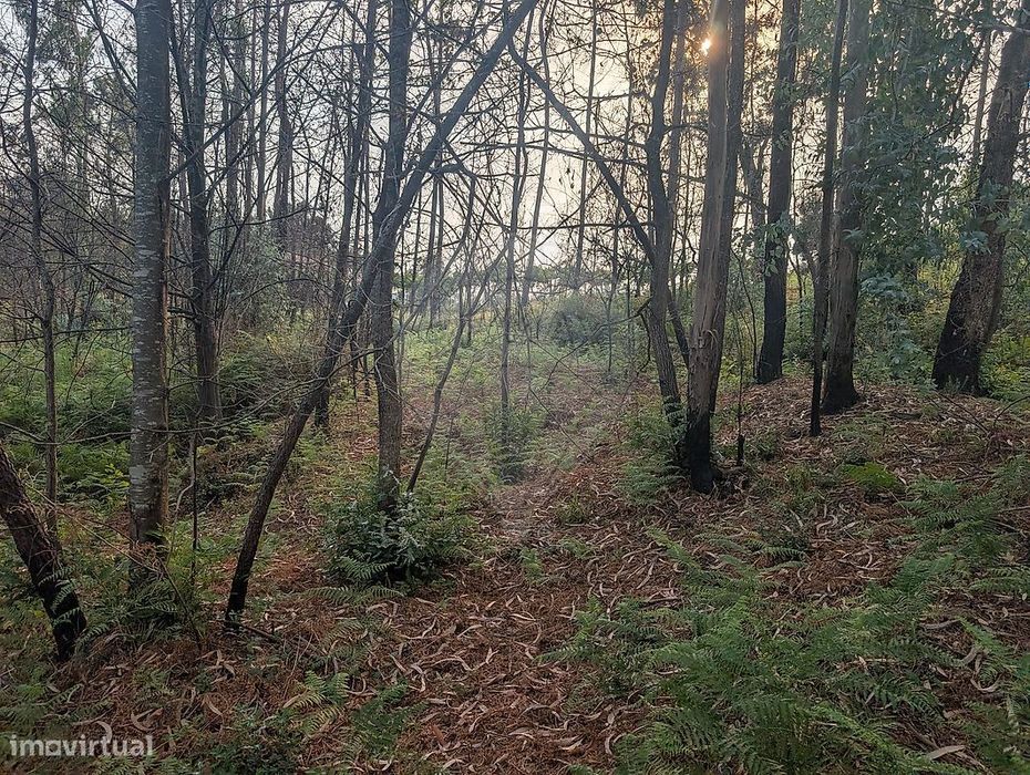 Terreno  para venda
