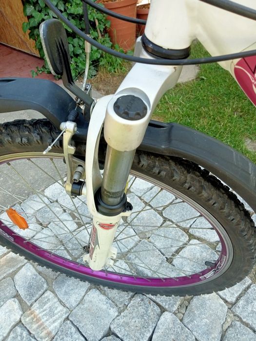 Rower 26  Elegra +drugi  Gratis + kosiarka Briggs&Straton Gratis