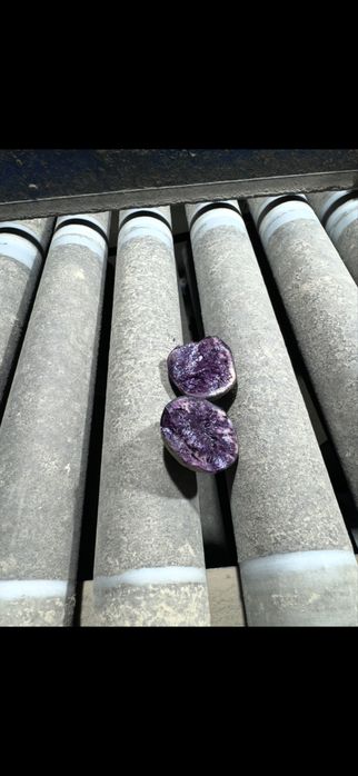 Ziemniaki  fioletowe truflowe provita