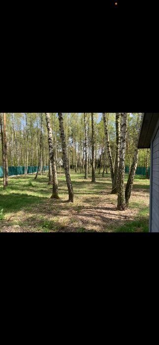 Sprzedam dzialke w lesie