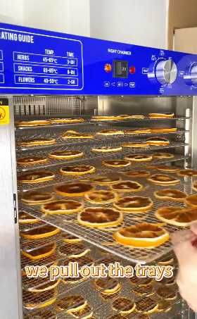 Дегідратор механічний 96 секцій Сушарка Сушка для фруктів грибів