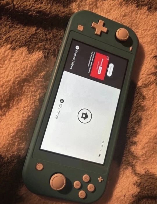 Nintendo switch lite