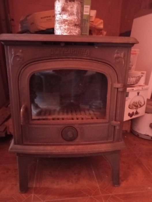 Salamandra Oliveirinha