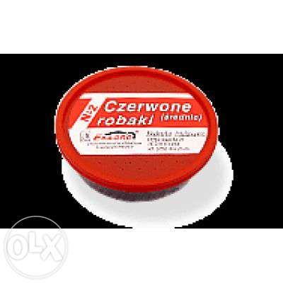 czerwone robaki na RYBY BIELSKO