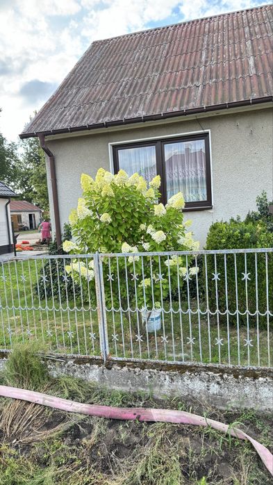 Wiejska posesja na sprzedaż