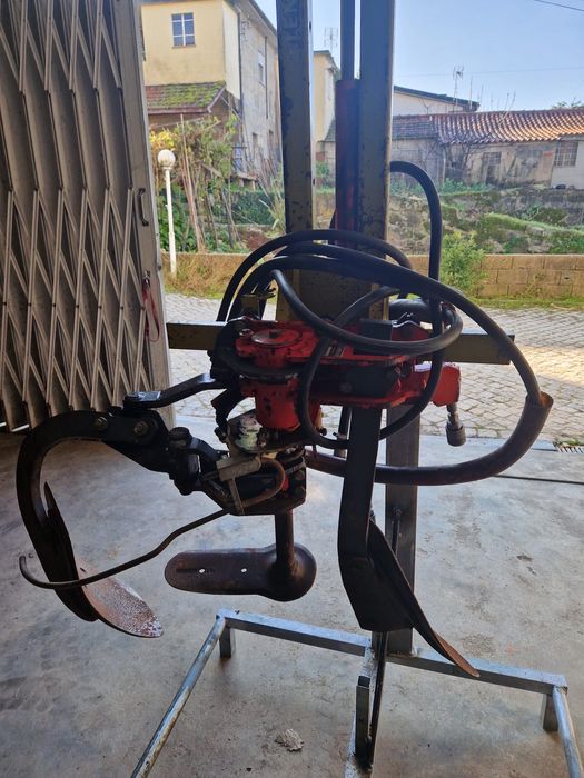 Intercepas ventral Clemens