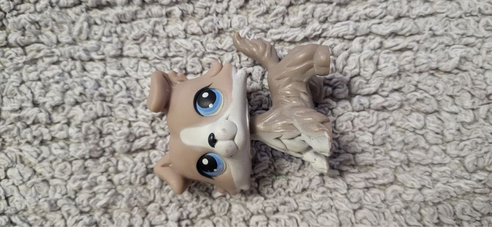 Littlest Pet Shop колекція колі