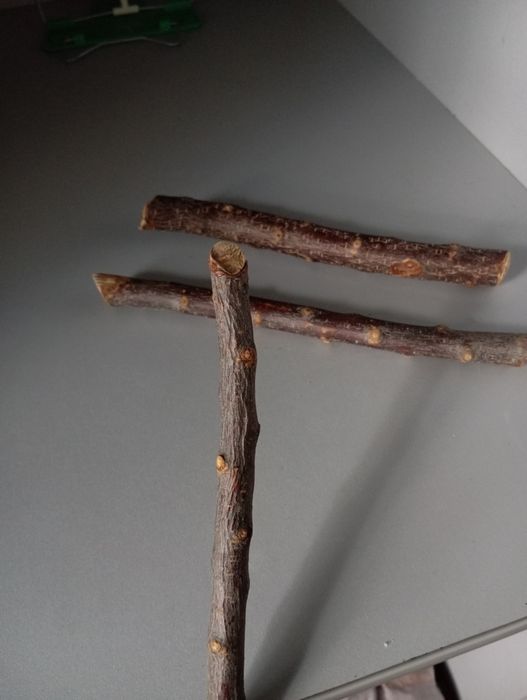 Гілки-жердини для папуг