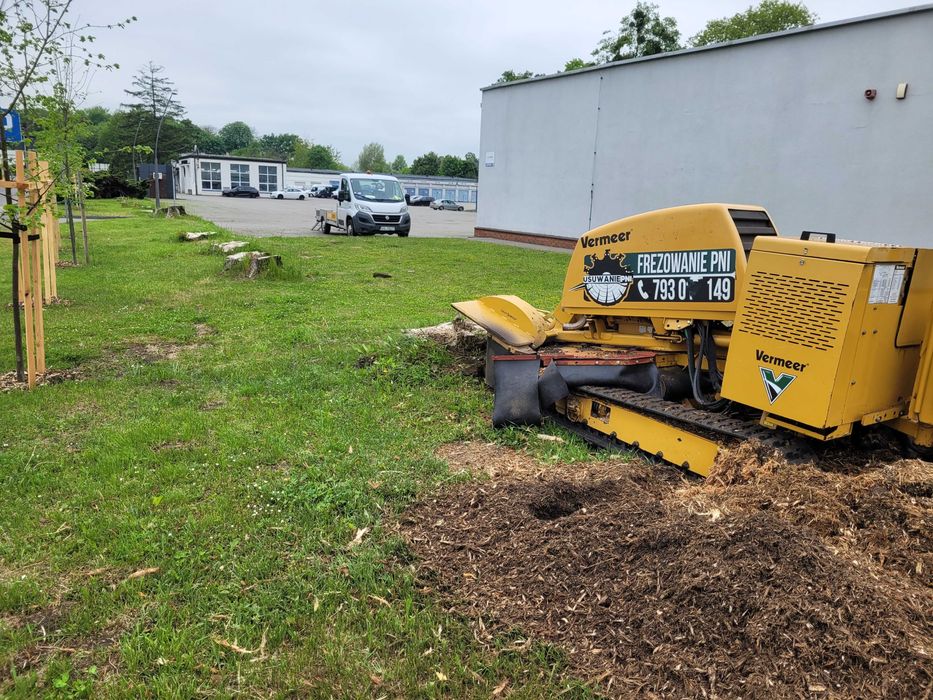 Usługa Frezarką Frezowanie Karp Usuwanie Pni Korzeni Karczowanie pni