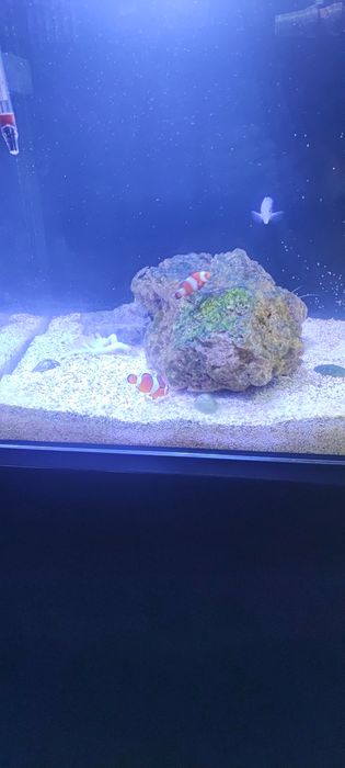 Nano de 60 litros