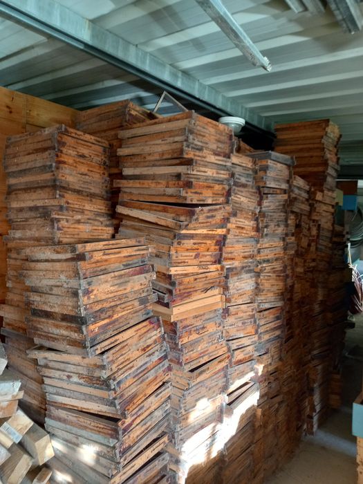 Promoção caixas de abelhas lusitanas