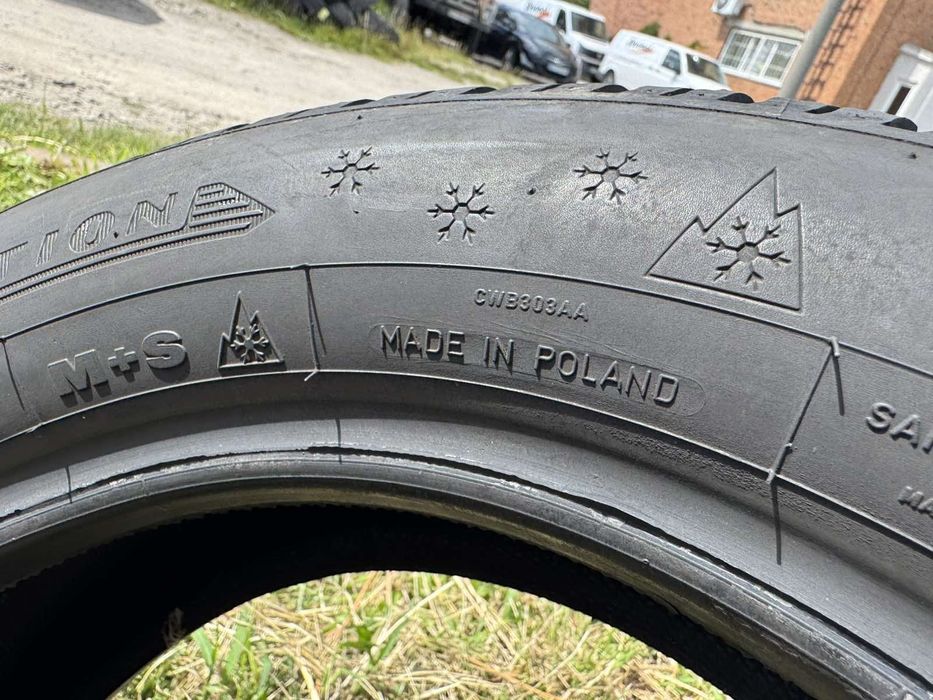 Зимові шини Dunlop 185/60 R15