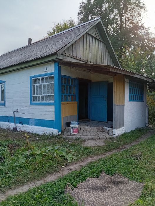 Будинок 200 км від Києва в затишному місці на станції Нові Білокорович