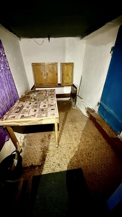 Дім, с. Аліївка, дім в Олександрійському районі, дім в Олександрії