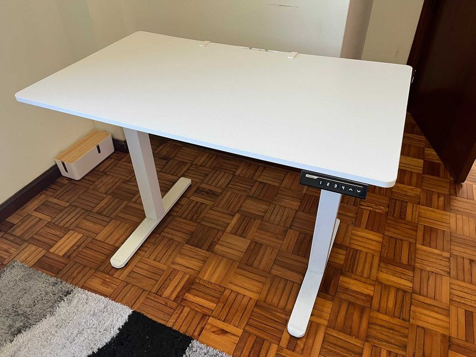 ErGear Mesa elevável elétrica 100x60cm