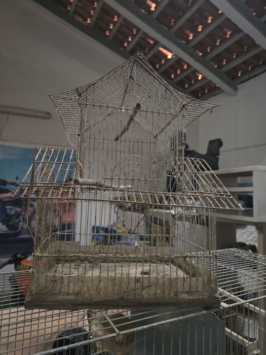 Título: Gaiolas para canários e aves