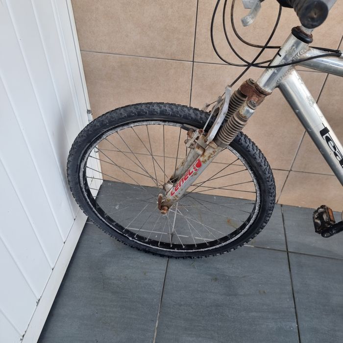 Bicicleta adulto