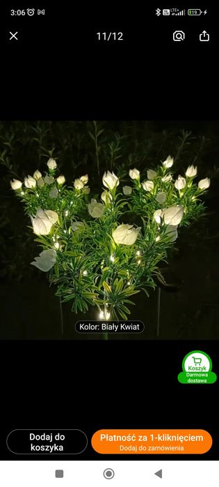 Róże solarne małe głowice wodoodporne