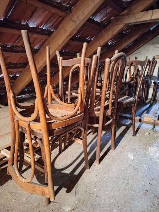 Krzesła do renowacji Thonet Mundus Kohn