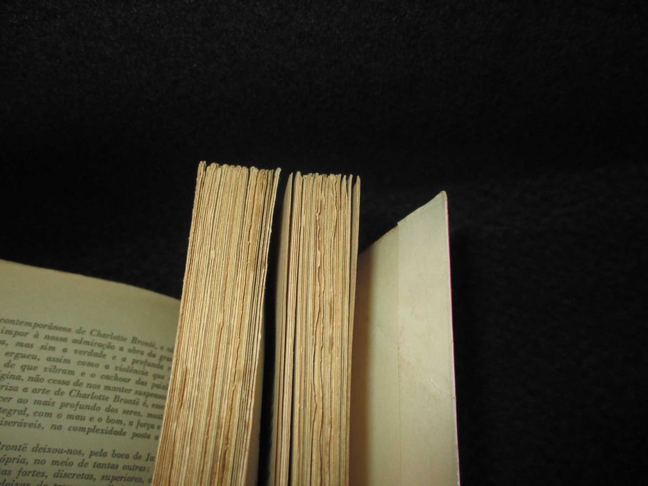 Livro A Paixão de Jane Eyre Charlotte Brontë