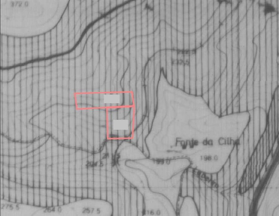 Terreno rústico (1,7 hectares) freguesia de Arnóia - Celorico Basto