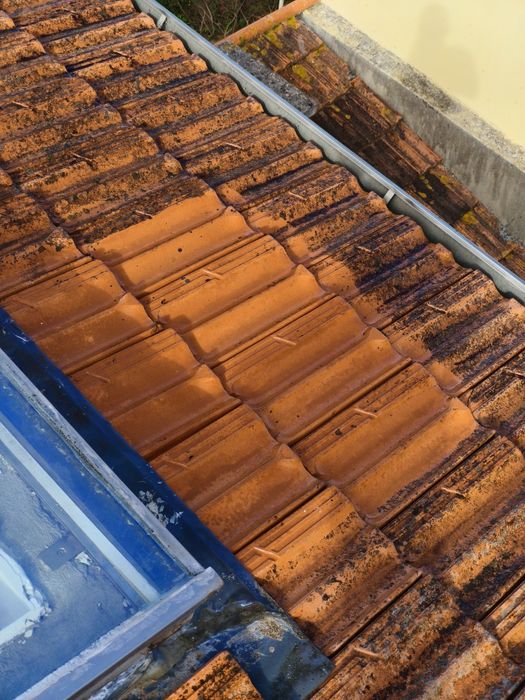 Limpeza de Caleiras e Telhados