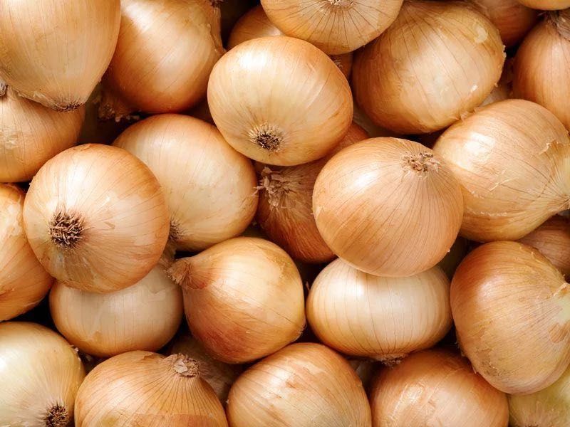 Cebula żółta luzem