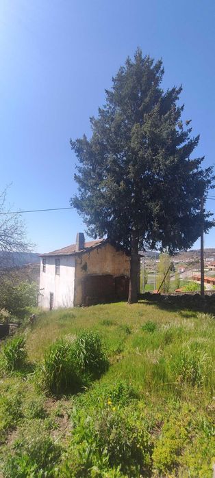 Moradia (ideal para Alojamento Local)