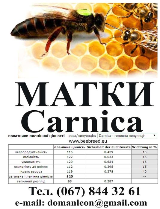 Матки бджолині КАРНІКА