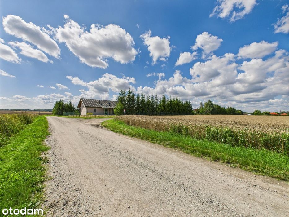 ... Słuchaj, stoi taki domek pod Toruniem