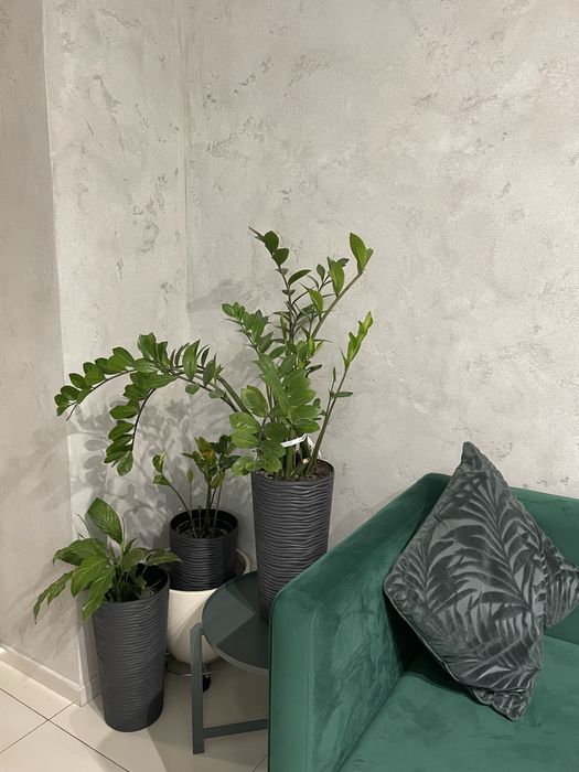 Оренда місця перукаря в центрі міста. Печерськ