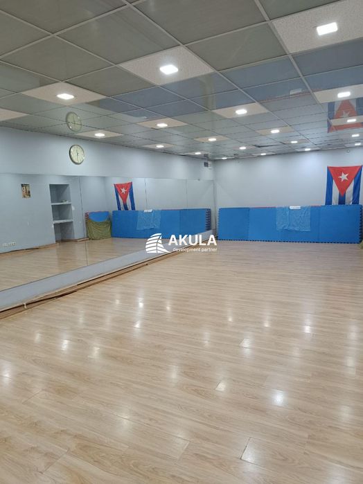 Комерційна нерухомість за адресою вул. Межигірська (площа 297 м²) - Atlanta.ua - фото 14