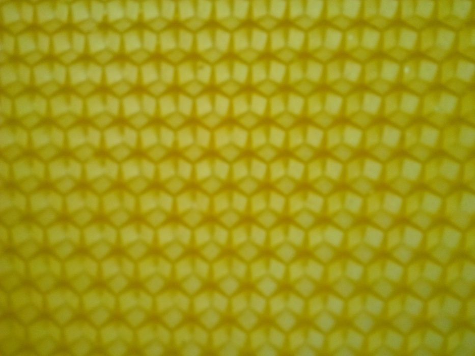 Матриця для виготовленя власної вощини у домашніх умовах зі свогоВіску