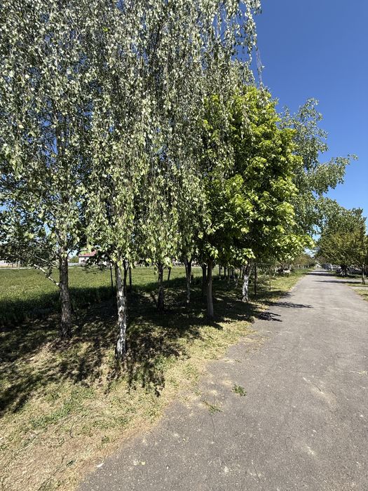 Велика ділянка з цоколем у передмісті