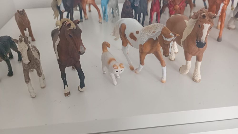 Koniki Schleich zestaw