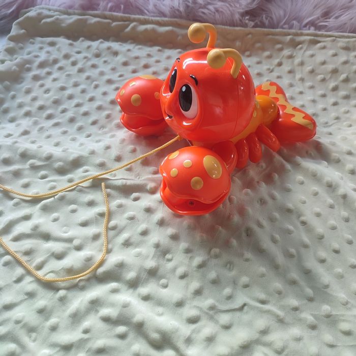 Zabawka Krab na sznurku