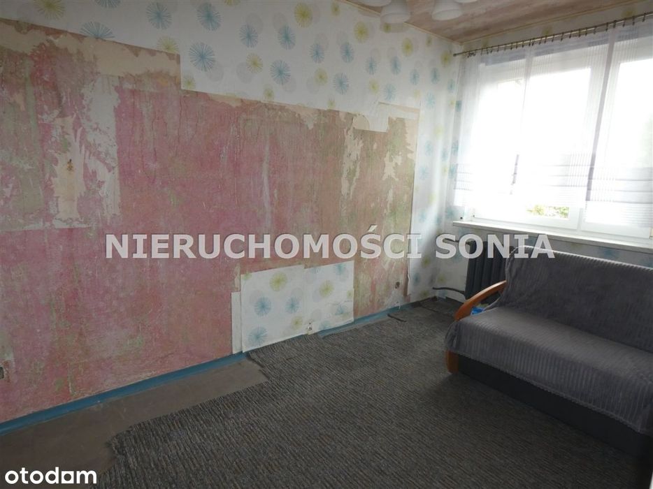 Zdjęcie 2