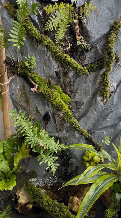 Cascata exterior e interior