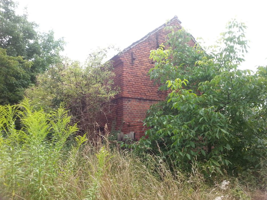 Działka budowlana 25 arów 3 budynki i grunty rolne blisko LSSE Krzywa