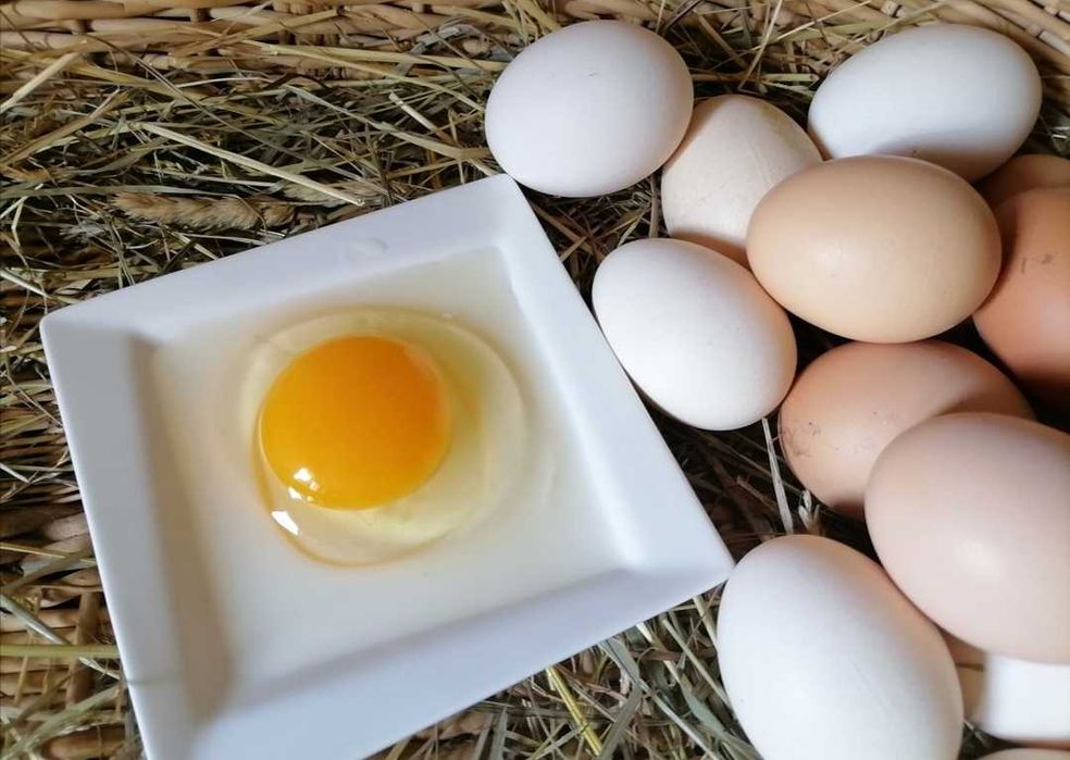 Jajka kur Wiejskich Eko