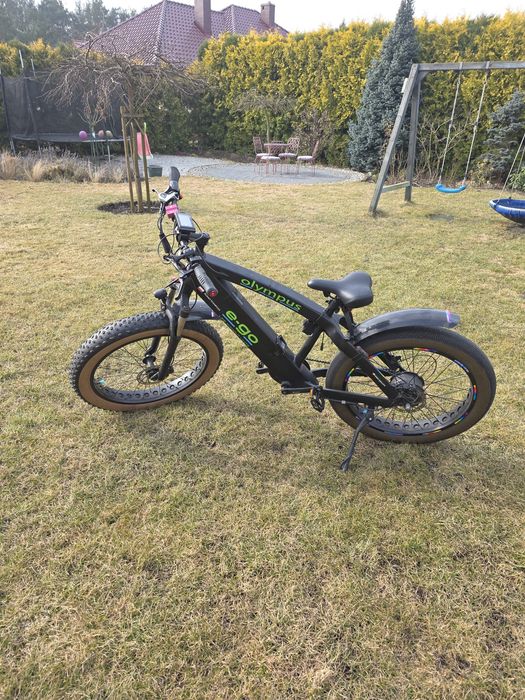 Rower elektryczny Olympues e-go