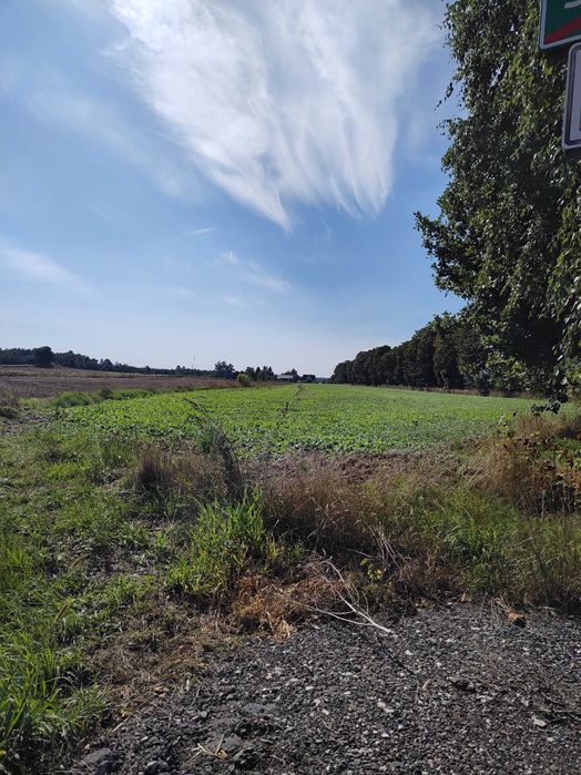 Działki na sprzedaż