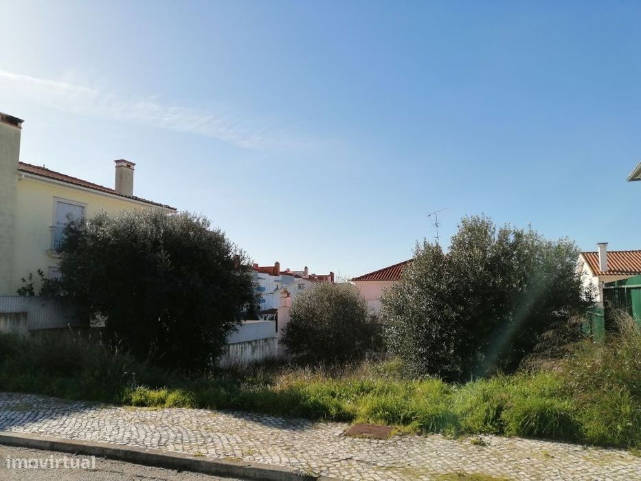 Terreno  Venda em Torres Novas (São Pedro), Lapas e Ribeira Branca,Tor