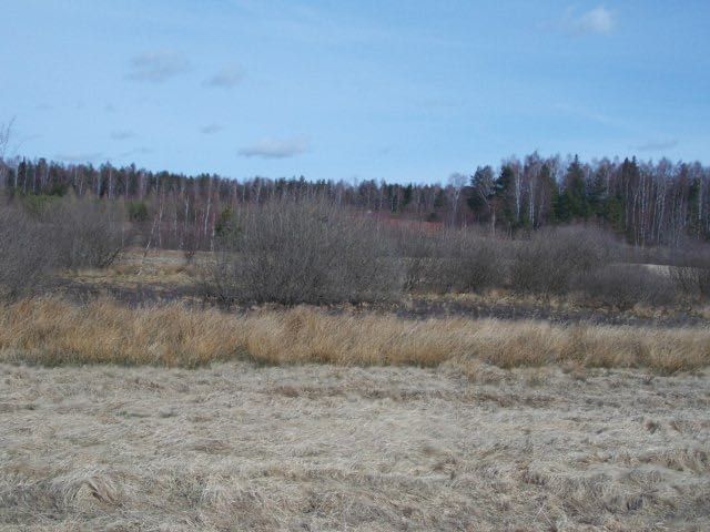 Teren 0,3166 ha pod mazurskie rancho - Widok 4