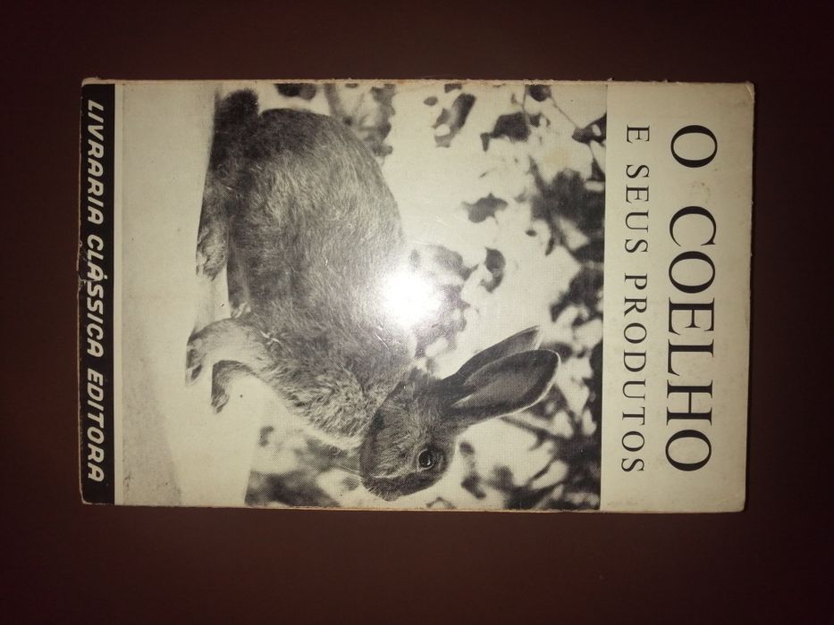 O Coelho e seus Produtos