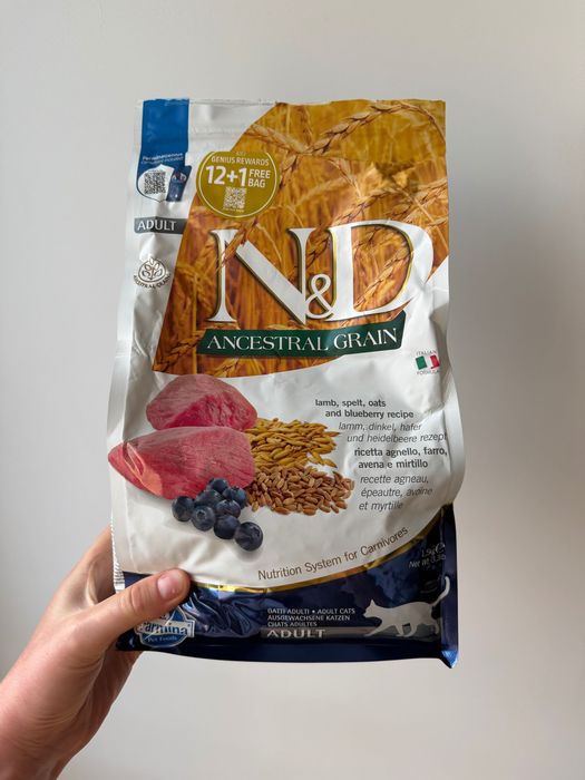 Karma dla kota Farmina N&D Ancestral Grain Adult Lamb, Spelt, Oats & Blueberry