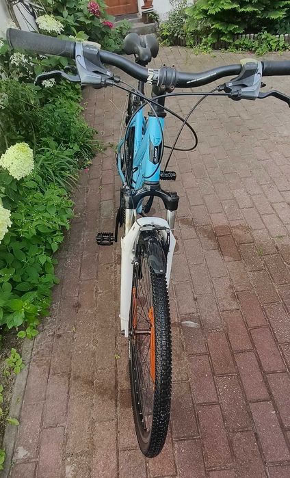 Rower damski Lazaro integral v2